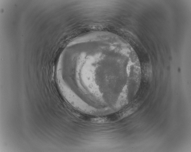 X0000071760511200607282151