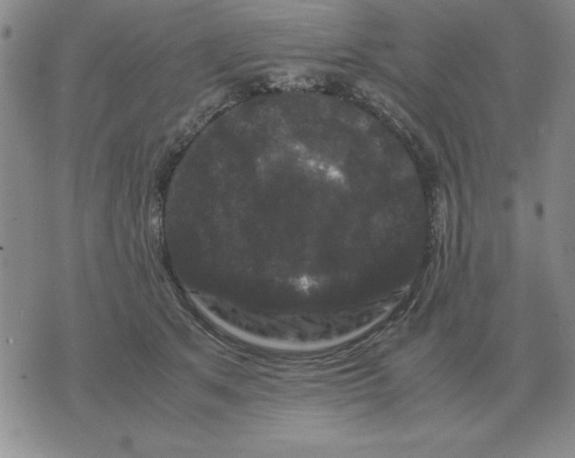 X0000071760513200607282151