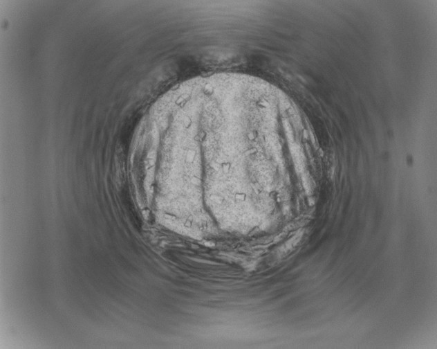 X0000071760515200607282151