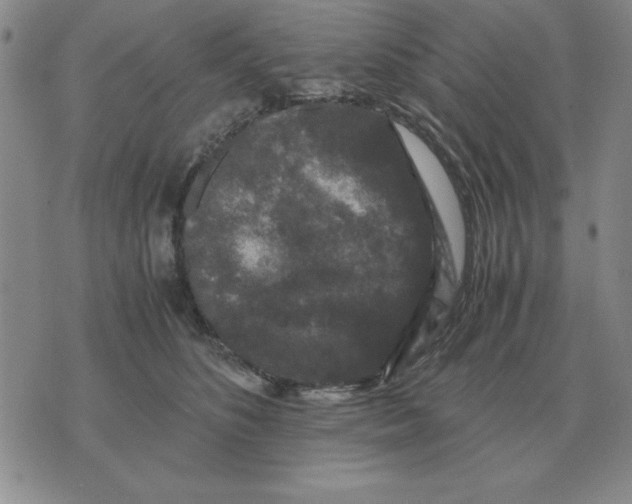 X0000071760516200607282151