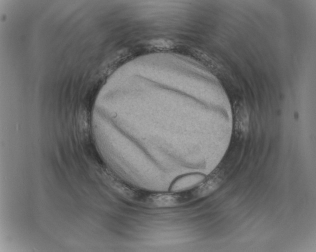 X0000071760518200607282151