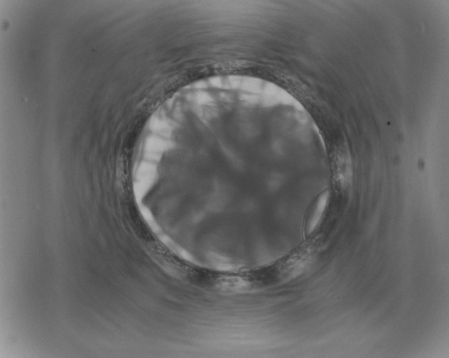 X0000071760519200607282151