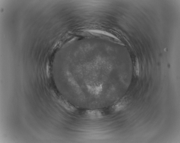 X0000071760520200607282151