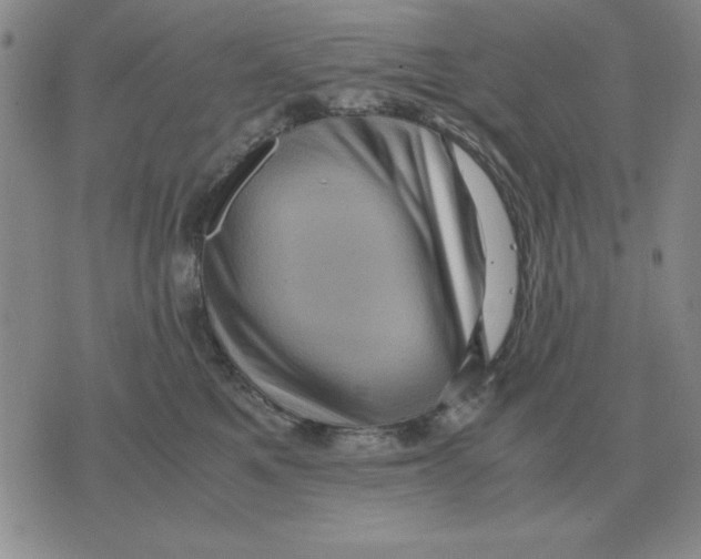 X0000071760521200607282151