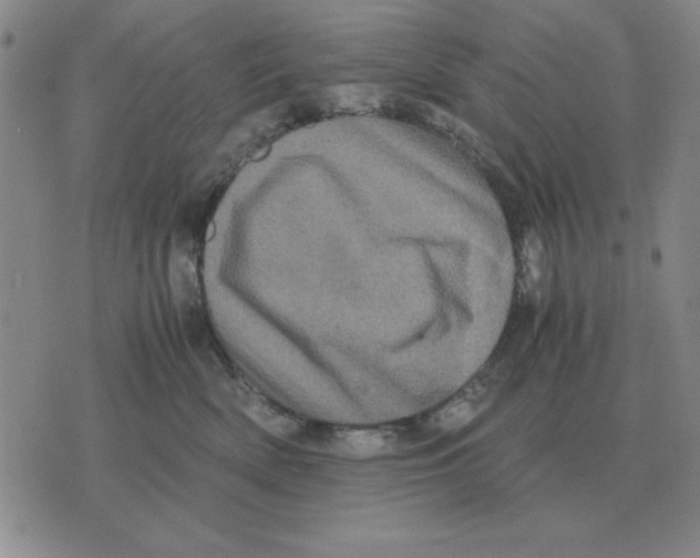 X0000071760522200607282151