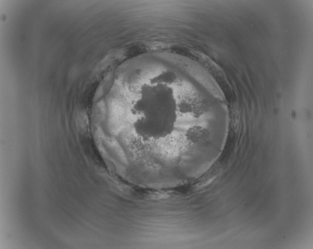 X0000071760523200607282151