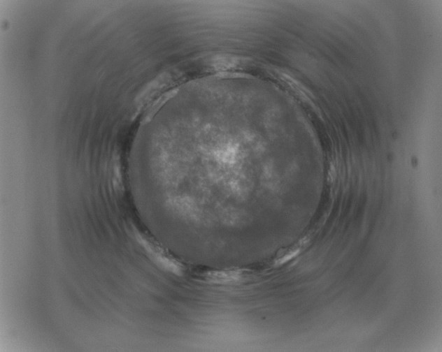 X0000071760524200607282151