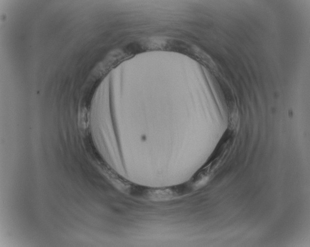 X0000071760525200607282151