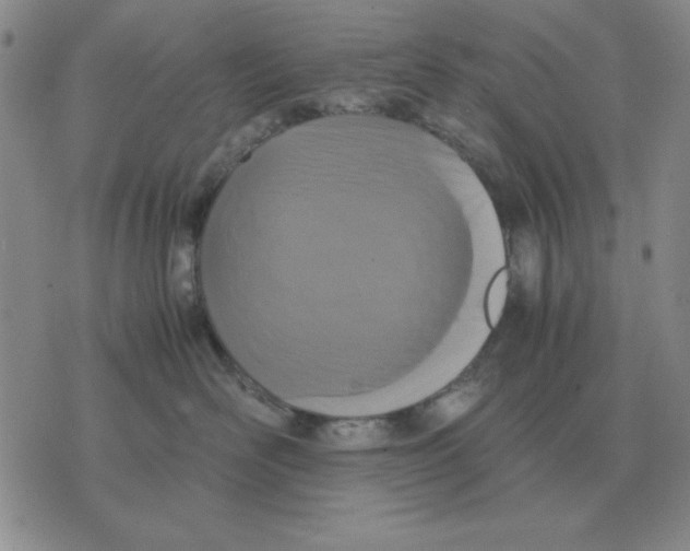 X0000071760526200607282151