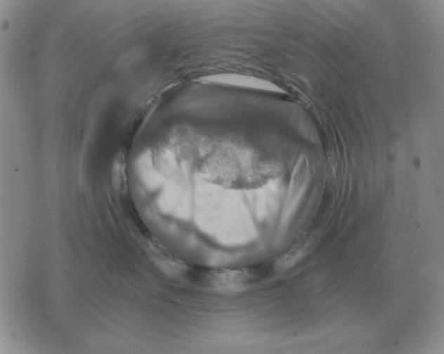 X0000071760527200607282151