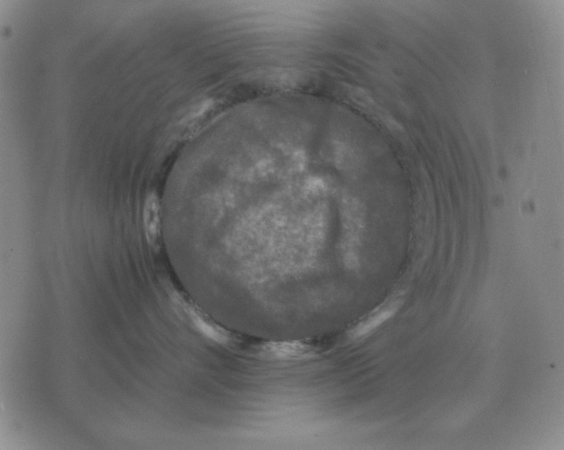 X0000071760528200607282151