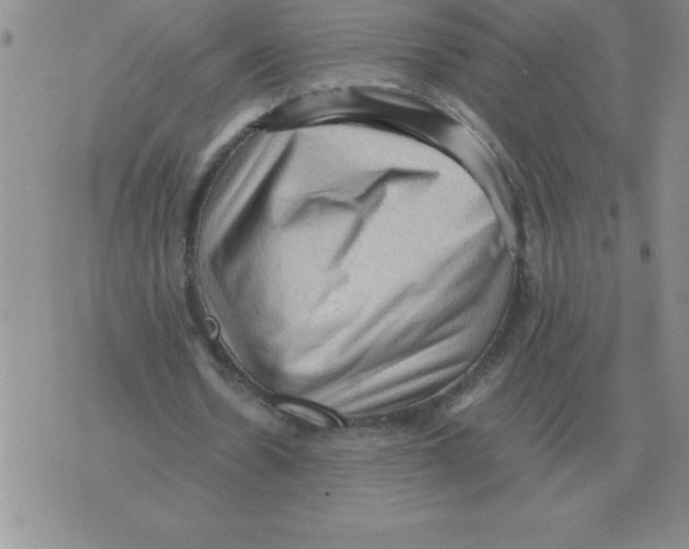 X0000071760530200607282150