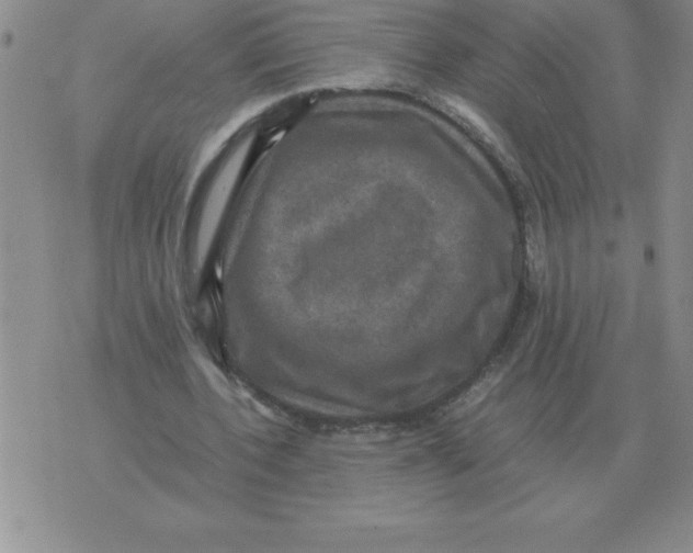 X0000071760532200607282150