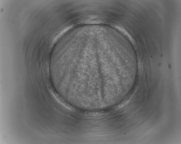 X0000071760533200607282150