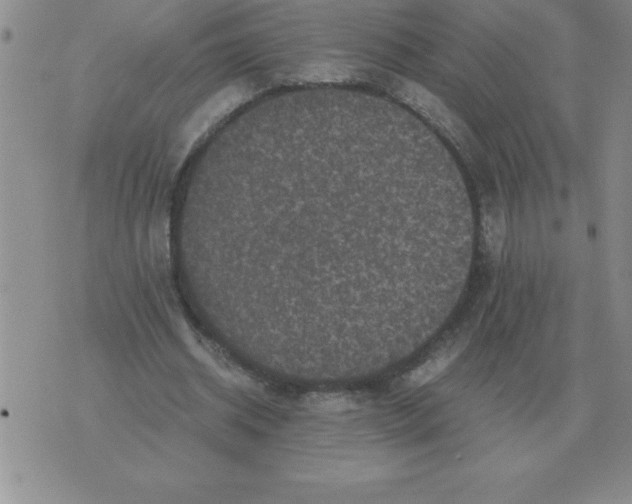 X0000071760534200607282150