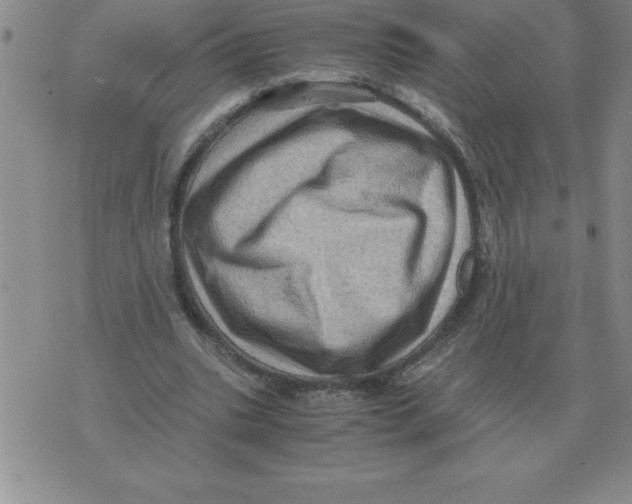 X0000071760535200607282150