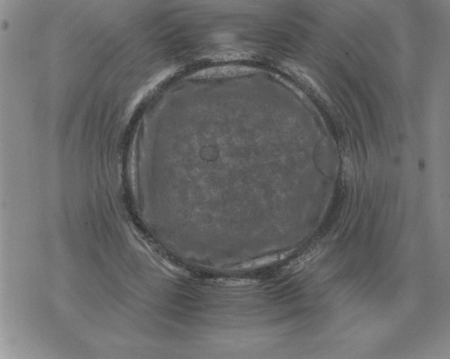 X0000071760539200607282150