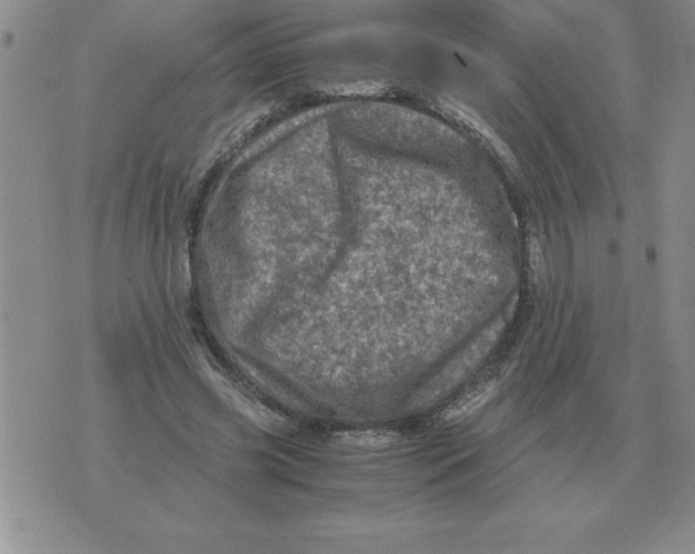 X0000071760541200607282150