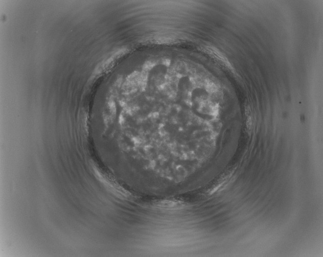 X0000071760542200607282150