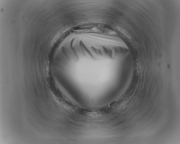 X0000071760544200607282150