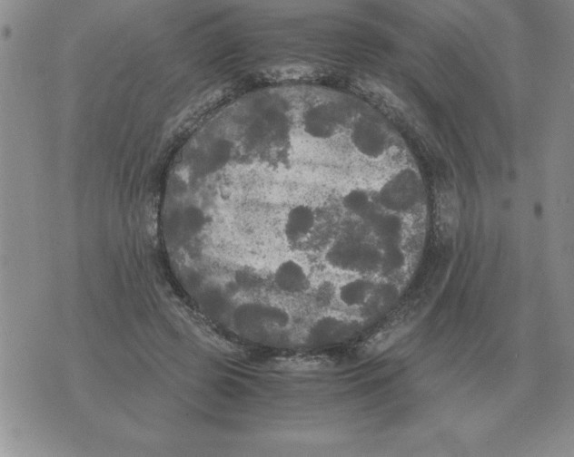 X0000071760545200607282150