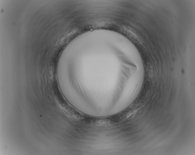 X0000071760546200607282150