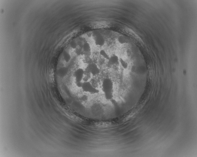 X0000071760549200607282150