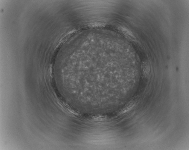 X0000071760550200607282150