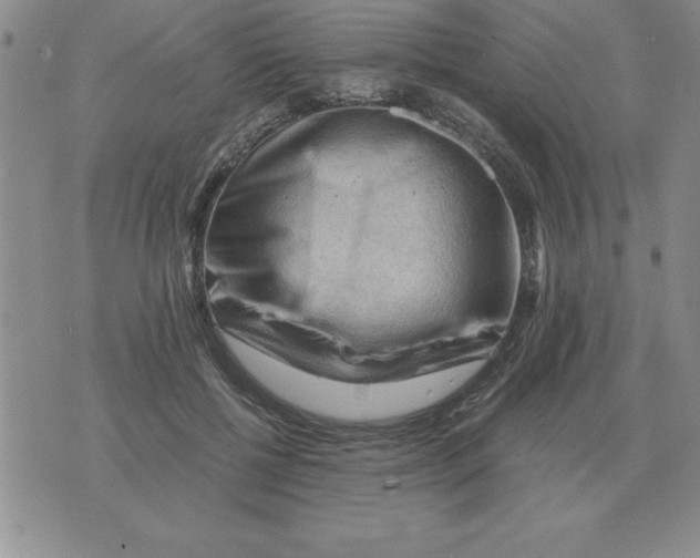 X0000071760552200607282150