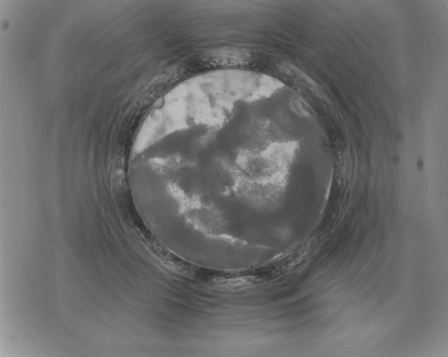 X0000071760553200607282150