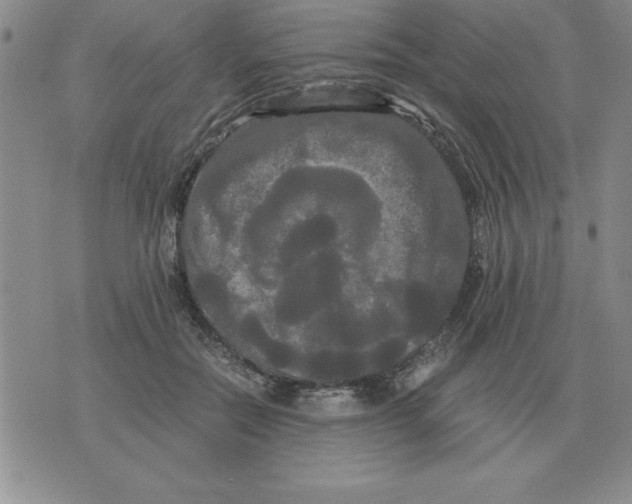 X0000071760554200607282150