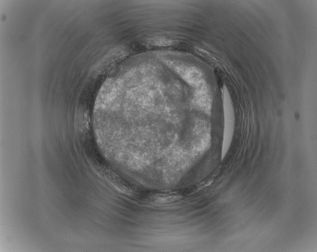 X0000071760555200607282150