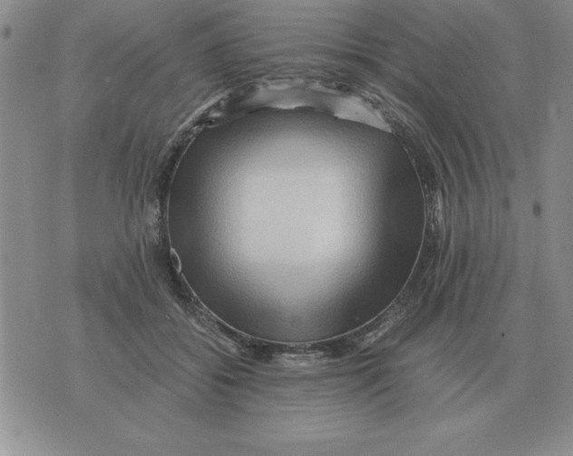 X0000071760556200607282150