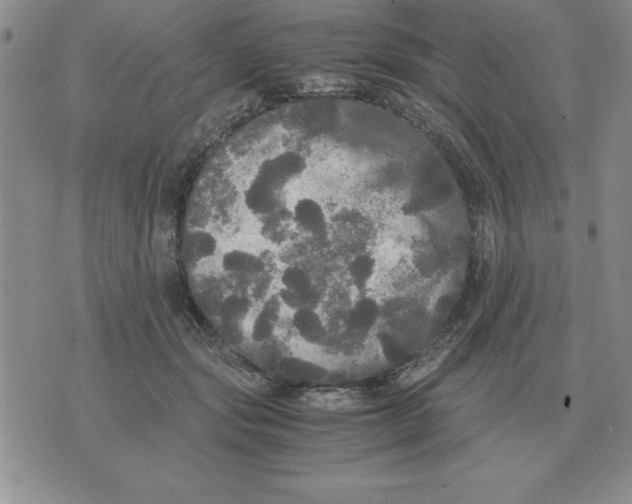 X0000071760557200607282150