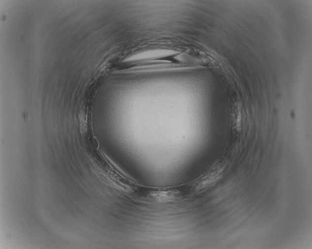 X0000071760558200607282150