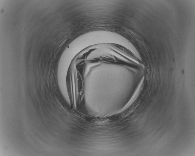 X0000071760560200607282150