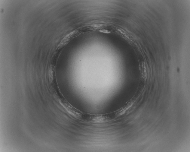 X0000071760562200607282150