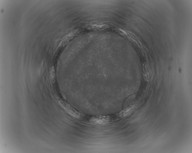 X0000071760563200607282150