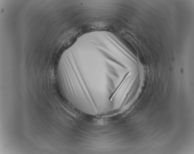 X0000071760564200607282150