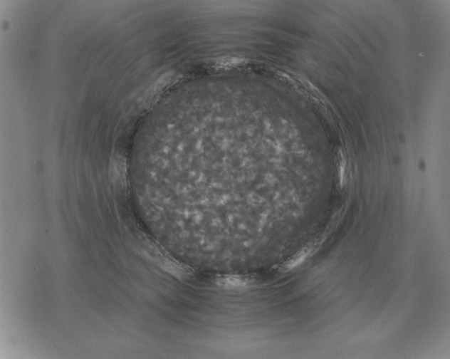 X0000071760565200607282150