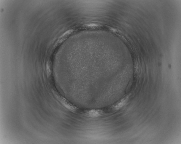 X0000071760566200607282150