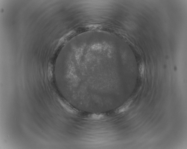 X0000071760570200607282151