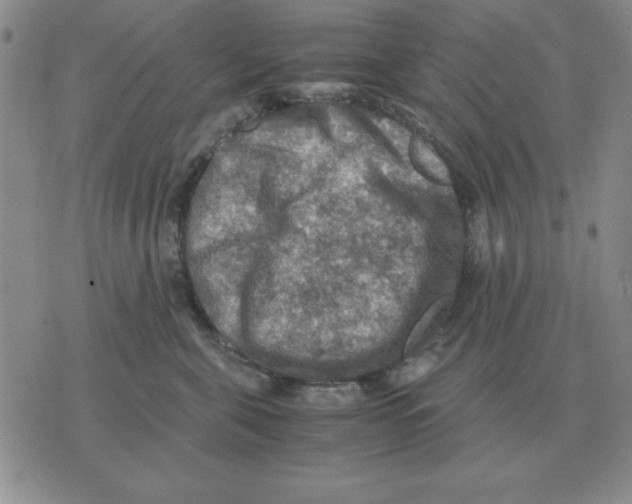 X0000071760571200607282151