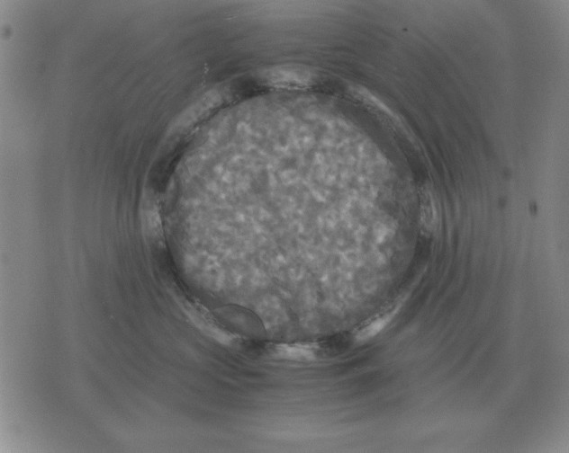 X0000071760573200607282151