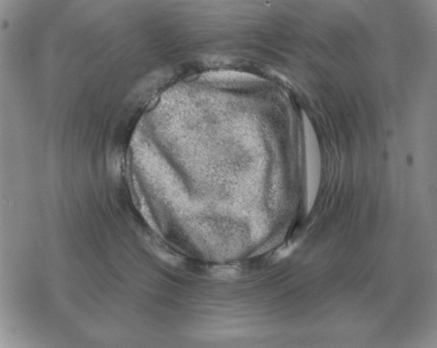 X0000071760574200607282151