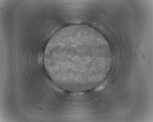 X0000071760576200607282151