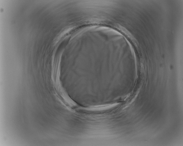 X0000071760577200607282150