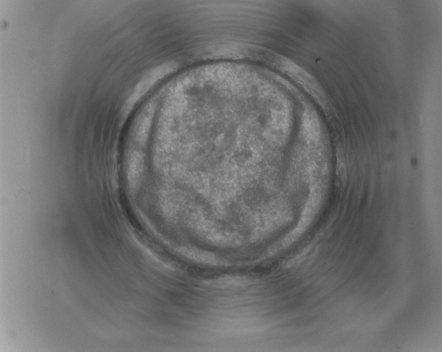 X0000071760578200607282150