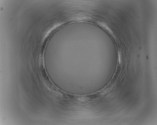 X0000071760579200607282150