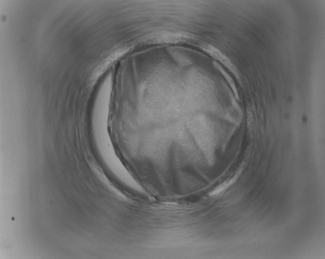 X0000071760581200607282150